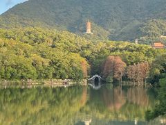 -深圳仙湖植物园