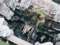 -桃花岛公园