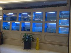 -皇朝尊会(龙之梦大酒店)