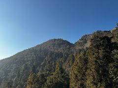 -玉苍山国家森林公园