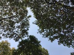 -尚湖风景区
