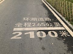 -海珠湖公园