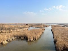 -盐城丹顶鹤湿地生态旅游区