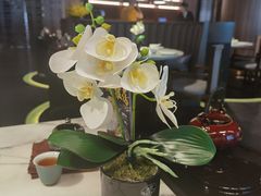 -钟菜·粤菜点心·宴请(海上世界·汇港二期店)