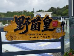 -野菌皇海景野生菌火锅(滨海大道店)