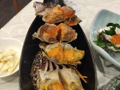 -渔娘渔家丹东海鲜(东直门店)