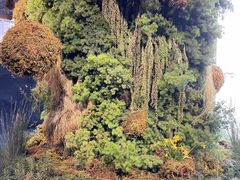 -云里小坐·海泉湾·团建·宴席·下午茶(金堂海泉湾店)