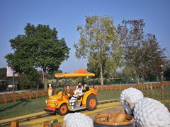 -溱湖国家湿地公园