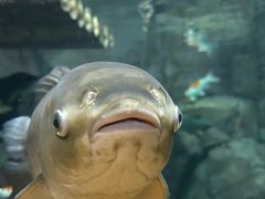 -上海海洋水族馆