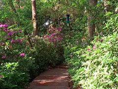 -铁山坪森林公园