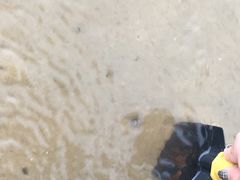 -东戴河风景区-止锚湾
