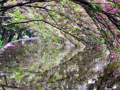 -苏州上方山国家森林公园