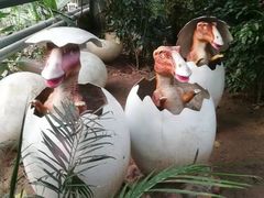 -呀路古热带植物园