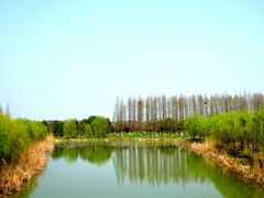 -南湖湿地公园