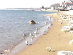 -老虎石海上公园