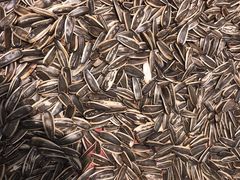 -江城老胖串店(湖西路店)