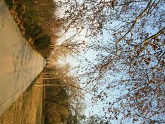 android_upload_pic-焦山风景区