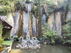 -西双版纳原始森林公园