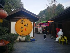 -天目湖山水园