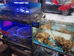 -77号渔船·蒸海鲜青岛菜(积米崖店)