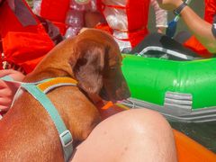 -安吉龙王山峡谷漂流