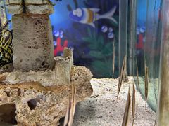 -太平洋海底世界