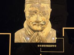 -秦始皇帝陵博物院-丽山园