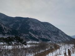 -金岳台私汤温泉度假山庄·创意餐厅(昌平十三陵店)