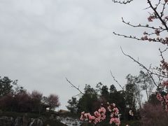-秀丽东方