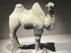 -大同市博物馆