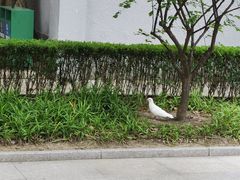 -上海宋庆龄故居纪念馆