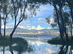 -洱海月湿地公园