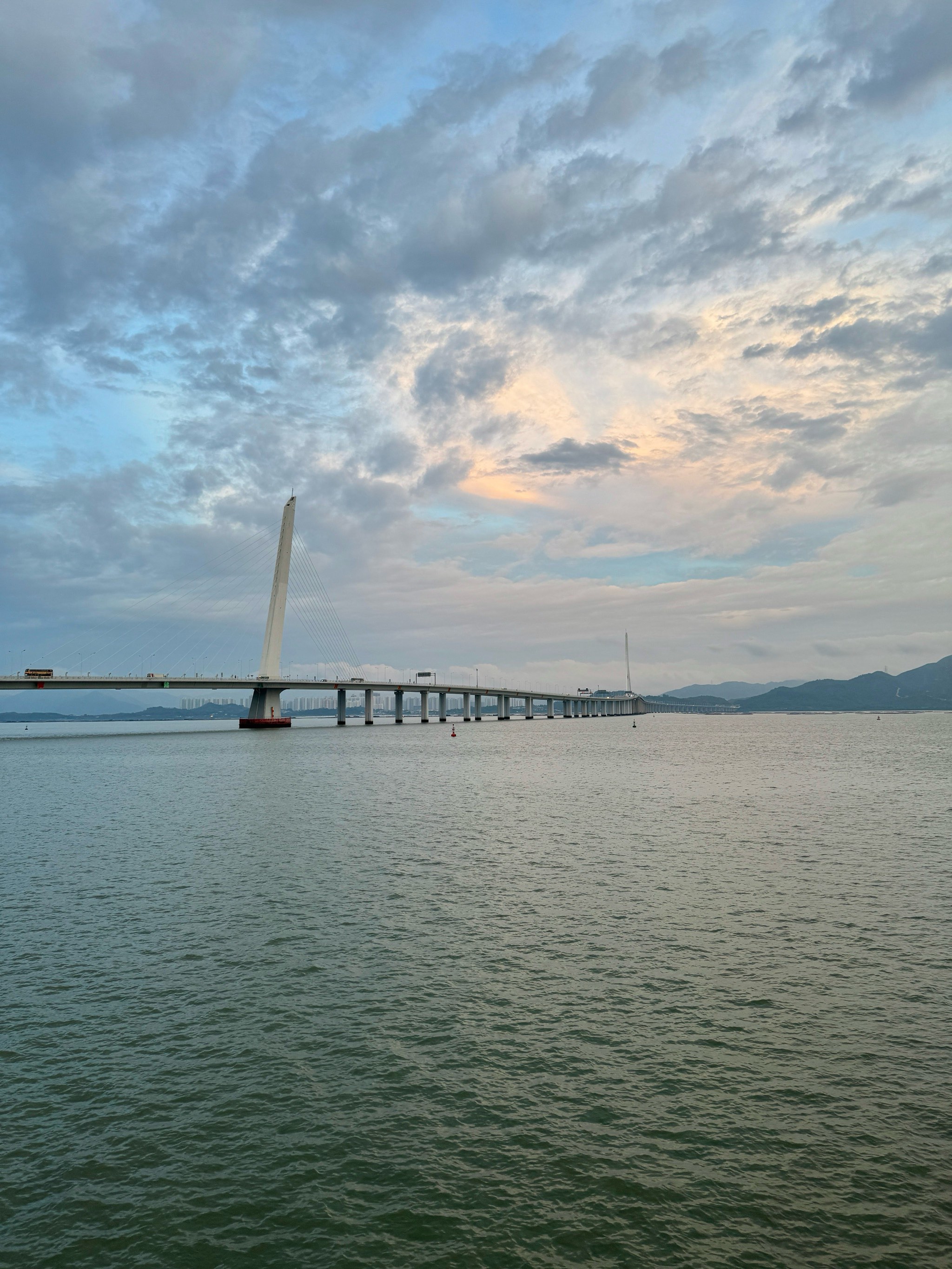 深圳湾美景图片