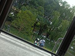 -昆山城市生态森林公园