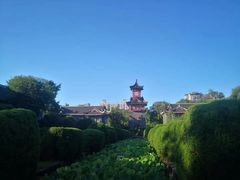 -四川大学(华西校区)