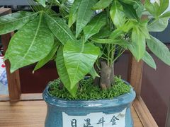 -悠航SLOWBOAT(三里屯店)
