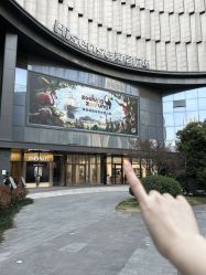 -Zoolung Zoolung动物主题公园(海信广场店)