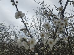 -广东天露山旅游度假区