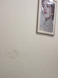 点击看大图 -智美品质医美