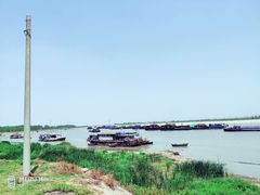 -合肥滨湖国家森林公园