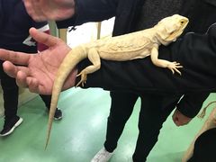 -藦茜花园宠物主题亲子互动体验馆(国顺东路店)