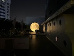 -汤悦温泉酒店(成都春熙路天府广场店)