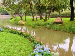 -人民公园(罗湖区)