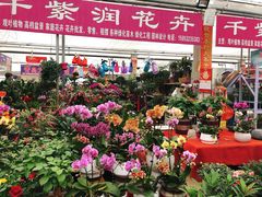 -李村大集