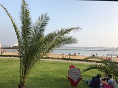 -碧海金沙