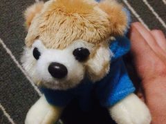 -PAWTOY爪e玩偶店(天兴罗斯福店)