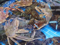 -舌尖上·霞浦滩涂海鲜·新闽菜(总店)