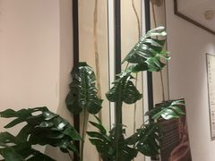 -沐善人家中医·推拿·理疗·三伏灸(新洲店)