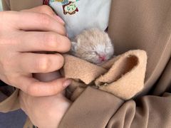 -柏萃动物医院·骨科·牙科