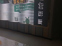 -百丽宫影城(CGS激光苏宁广场店)